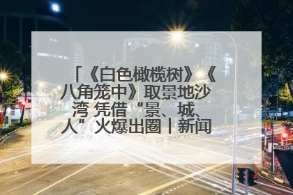 《白色橄榄树》《八角笼中》取景地沙湾 凭借“景、城、人”火爆出圈丨新闻发布最前线