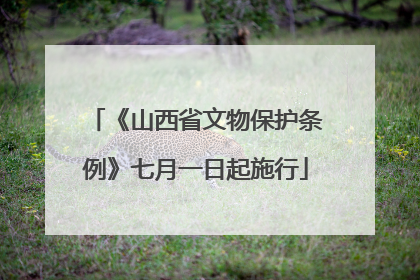 《山西省文物保护条例》七月一日起施行