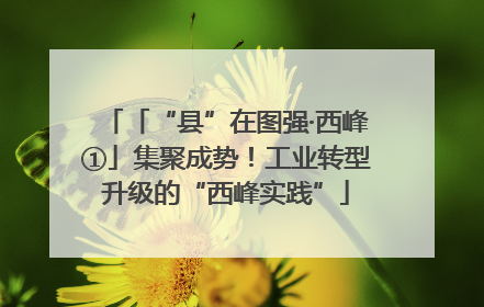 「“县”在图强·西峰①」集聚成势！工业转型升级的“西峰实践”