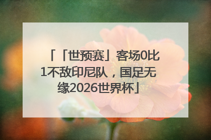 「世预赛」客场0比1不敌印尼队，国足无缘2026世界杯