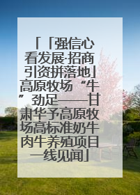 「强信心 看发展·招商引资拼落地」高原牧场“牛”劲足——甘肃华予高原牧场高标准奶牛肉牛养殖项目一线见闻