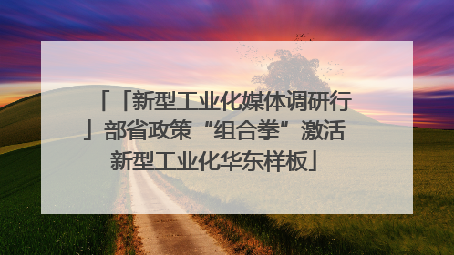 「新型工业化媒体调研行」部省政策“组合拳”激活新型工业化华东样板