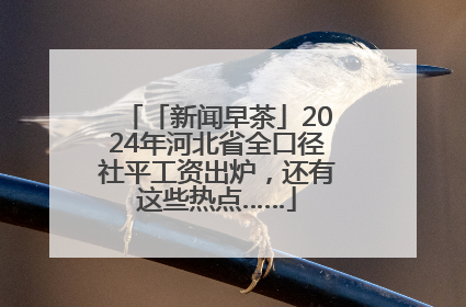 「新闻早茶」2024年河北省全口径社平工资出炉，还有这些热点……