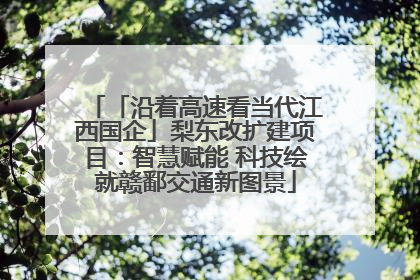 「沿着高速看当代江西国企」梨东改扩建项目：智慧赋能 科技绘就赣鄱交通新图景