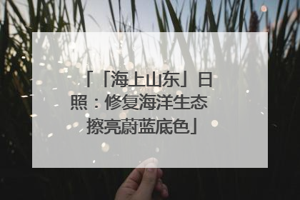 「海上山东」日照：修复海洋生态 擦亮蔚蓝底色