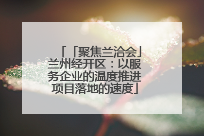 「聚焦兰洽会」兰州经开区：以服务企业的温度推进项目落地的速度