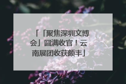 「聚焦深圳文博会」圆满收官！云南展团收获颇丰