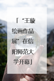 “王璇绘画作品展”在信阳师范大学开幕