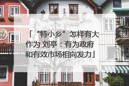 “特小乡”怎样有大作为 刘亭：有为政府和有效市场相向发力