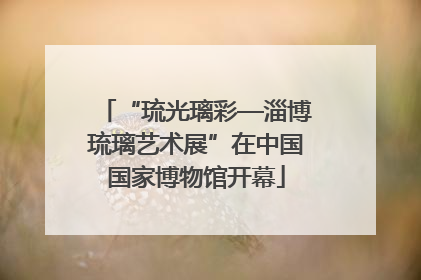 “琉光璃彩—淄博琉璃艺术展”在中国国家博物馆开幕