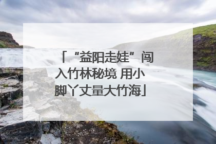 “益阳走娃”闯入竹林秘境 用小脚丫丈量大竹海