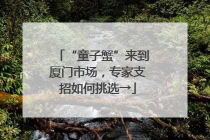“童子蟹”来到厦门市场，专家支招如何挑选→