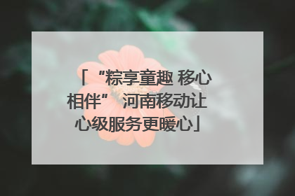 “粽享童趣 移心相伴” 河南移动让心级服务更暖心