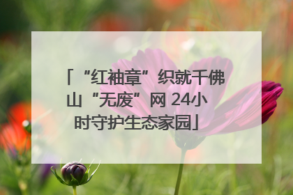 “红袖章”织就千佛山“无废”网 24小时守护生态家园