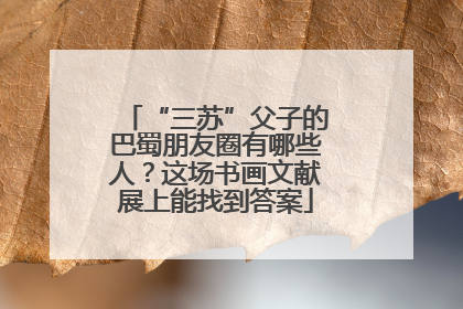 “三苏”父子的巴蜀朋友圈有哪些人？这场书画文献展上能找到答案
