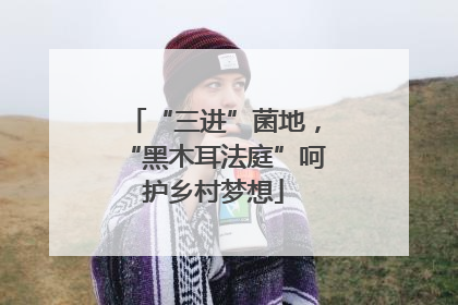 “三进”菌地，“黑木耳法庭”呵护乡村梦想