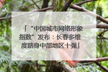 “中国城市网络形象指数”发布：长春多维度跻身中部地区十强