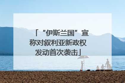 “伊斯兰国”宣称对叙利亚新政权发动首次袭击