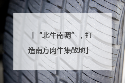 “北牛南调”，打造南方肉牛集散地
