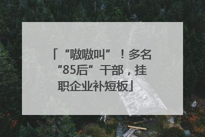 “嗷嗷叫”！多名“85后”干部，挂职企业补短板
