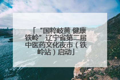 “国粹岐黄 健康铁岭”辽宁省第二届中医药文化夜市（铁岭站）启动