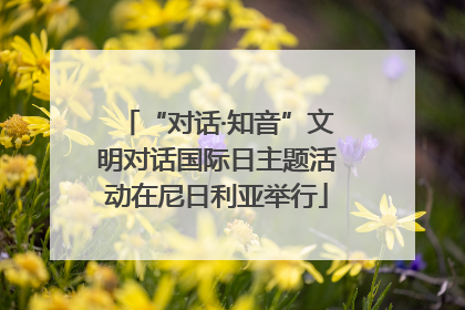 “对话·知音”文明对话国际日主题活动在尼日利亚举行