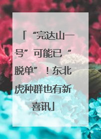 “完达山一号”可能已“脱单”！东北虎种群也有新喜讯