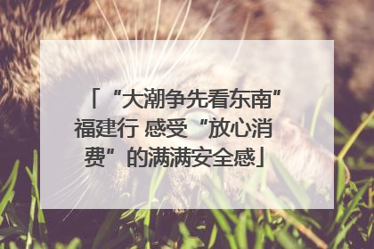 “大潮争先看东南”福建行 感受“放心消费”的满满安全感