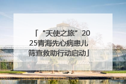 “天使之旅”2025青海先心病患儿筛查救助行动启动