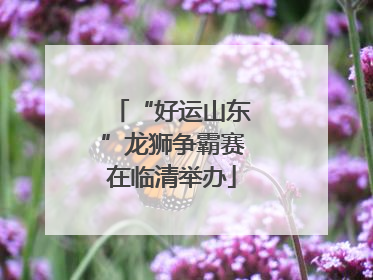 “好运山东”龙狮争霸赛在临清举办
