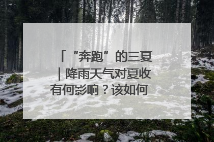 “奔跑”的三夏｜降雨天气对夏收有何影响？该如何防范？一文了解