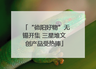“德阳好物”无锡开集 三星堆文创产品受热捧