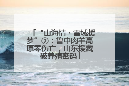 “山海情・雪域援梦”②：鲁中肉羊高原零伤亡，山东援藏破养殖密码