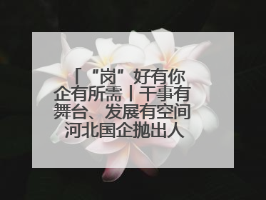 “岗”好有你 企有所需丨干事有舞台、发展有空间 河北国企抛出人才“橄榄枝”