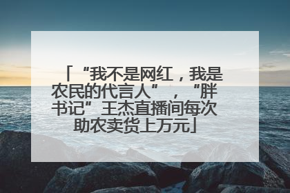 “我不是网红，我是农民的代言人”，“胖书记”王杰直播间每次助农卖货上万元