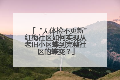 “无体检不更新”红梅社区如何实现从老旧小区蝶到完整社区的蝶变？