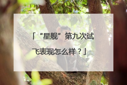 “星舰”第九次试飞表现怎么样？
