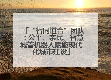 “智同道合”团队：公平、亲民、智慧城管机器人赋能现代化城市建设