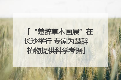 “楚辞草木画展”在长沙举行 专家为楚辞植物提供科学考据