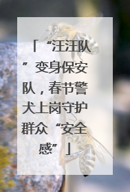 “汪汪队”变身保安队，春节警犬上岗守护群众“安全感”