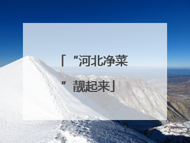 “河北净菜”靓起来