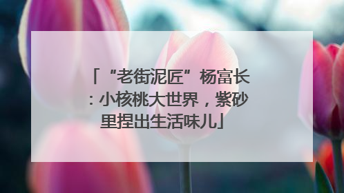 “老街泥匠”杨富长：小核桃大世界，紫砂里捏出生活味儿
