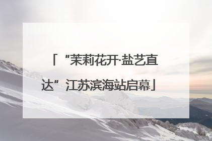 “茉莉花开·盐艺直达”江苏滨海站启幕