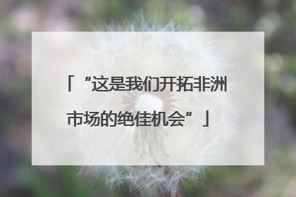 “这是我们开拓非洲市场的绝佳机会”