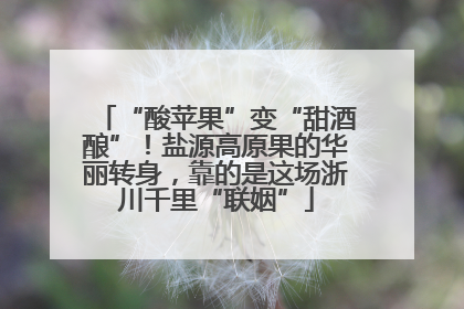 “酸苹果”变“甜酒酿”！盐源高原果的华丽转身，靠的是这场浙川千里“联姻”