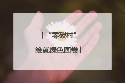 “零碳村” 绘就绿色画卷