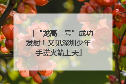 “龙高一号”成功发射！又见深圳少年手搓火箭上天