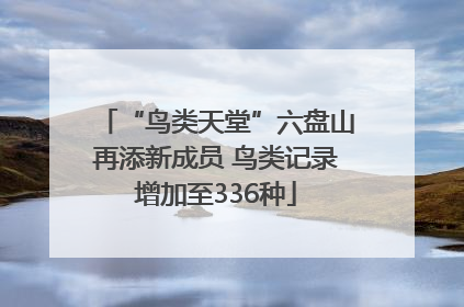 “鸟类天堂”六盘山再添新成员 鸟类记录增加至336种