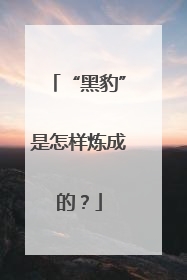 “黑豹”是怎样炼成的？