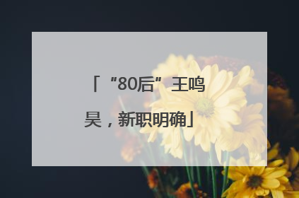“80后”王鸣昊，新职明确